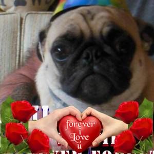 Meet your Posher, Carrie